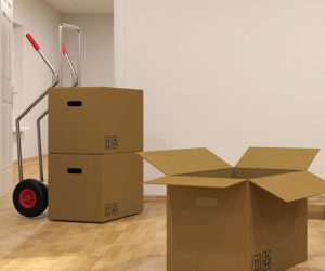 Moving-box